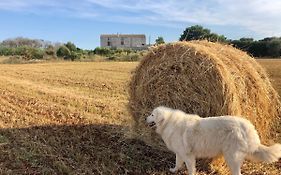 Agriturismo La Palascia Masseria Agreste